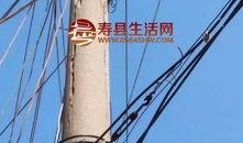 寿县论坛最新爆料,揭秘当地最新热点事件