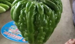 邯郸成安新瓜最新爆料,揭秘成安新瓜背后的故事与魅力