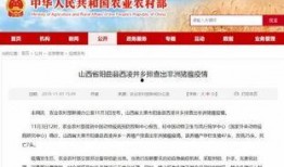 小雨爆料最新新闻,最新热点事件深度解析