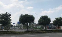 广德湖北路最新爆料,揭秘神秘项目进展与周边影响