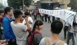 河南学校爆料事件最新,揭开教育乱象背后的真相