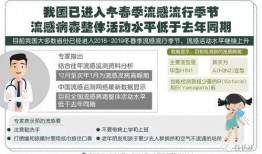 小雨爆料最新新闻,最新热点事件深度解析