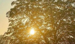 风景最新爆料文案图片大全,揭秘最新爆料图片背后的绝美风光