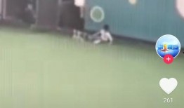 合肥幼儿园爆料视频最新